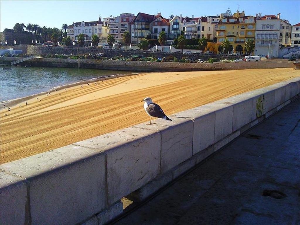 Casa Buganvilia Cascais Eksteriør billede